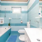Stunning In With Wifi Apartament